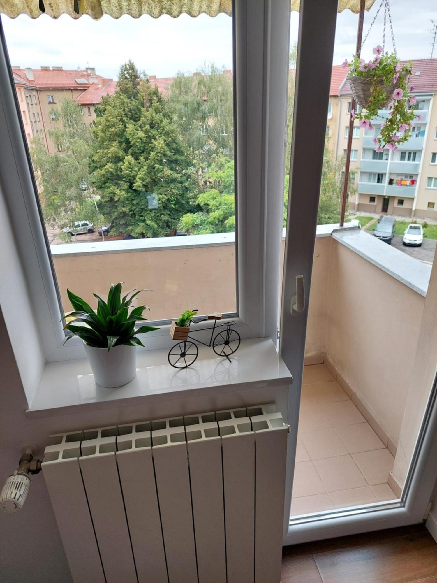 B&B Resslova Hradec Králové Екстериор снимка
